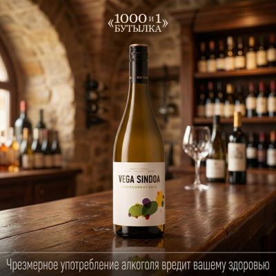 Bodegas Nekeas, "Vega Sindoa" Chardonnay